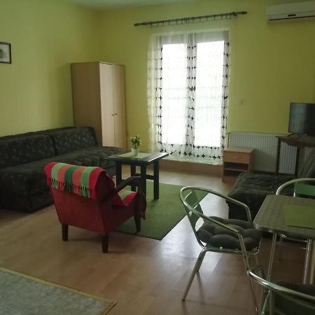 Apartments Hadzi Soko Banja Bagian luar foto