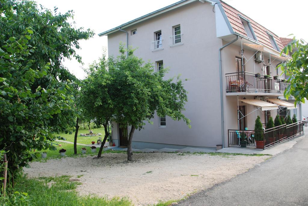 Apartments Hadzi Soko Banja Bagian luar foto