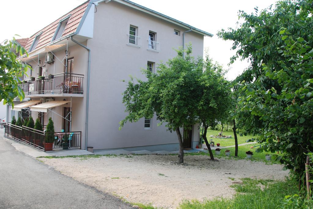 Apartments Hadzi Soko Banja Bagian luar foto